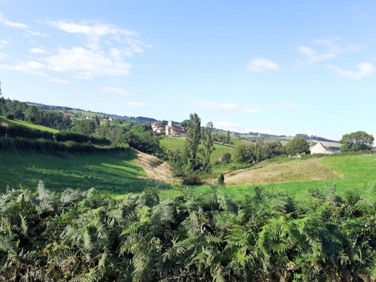 Gite De Belle Vue Semur-en-Brionnais Exterior foto